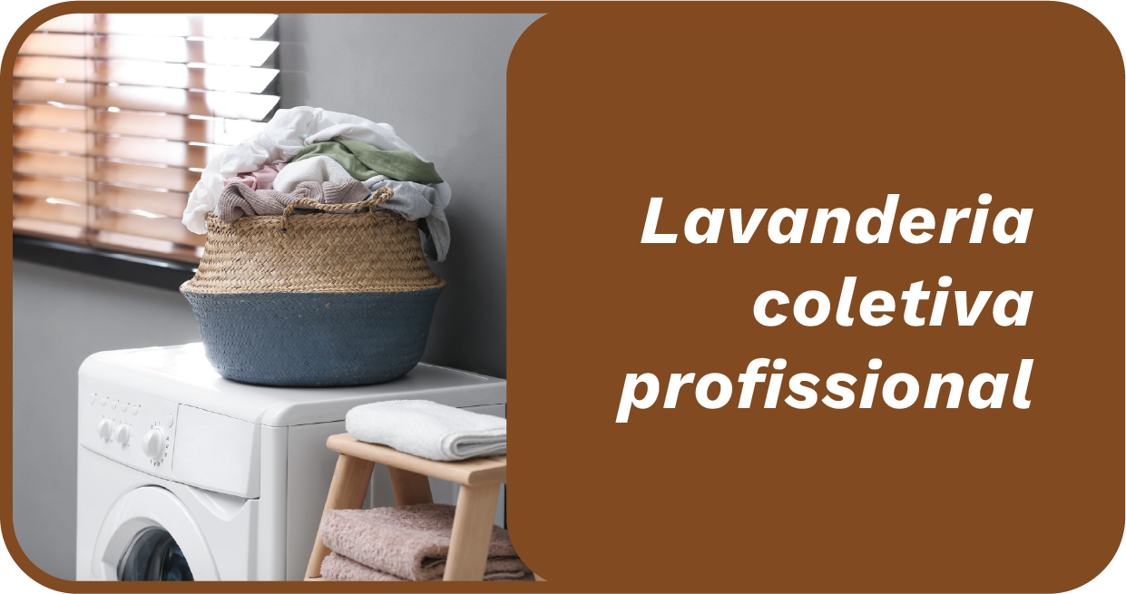 Lavanderia coletiva profissional